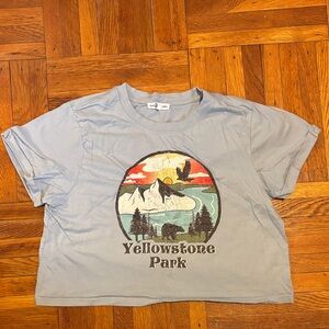 Yellowstone Park Blue Graphic Cropped Tee